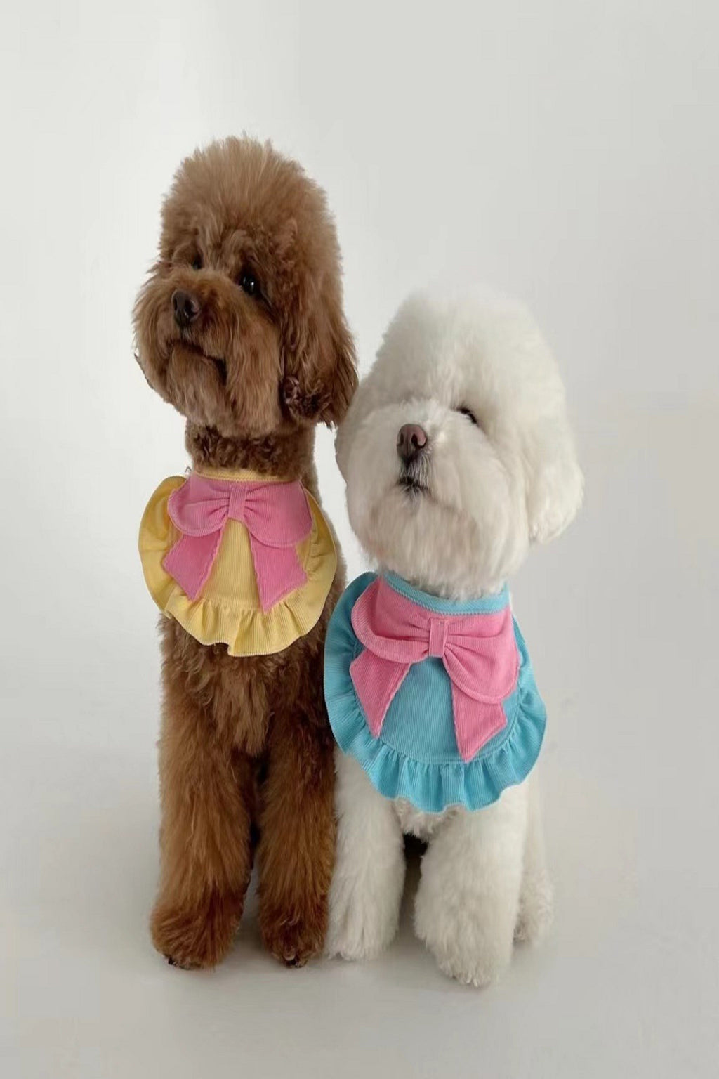 Pet Clothing &amp; Accessories